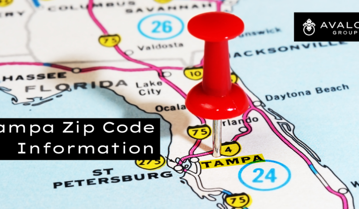 Tampa Zip Code Information