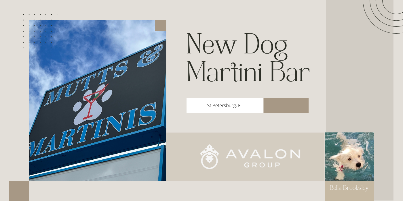 Mutts and Martinis St Petersburg