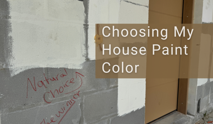 Choosing My House Paint Color