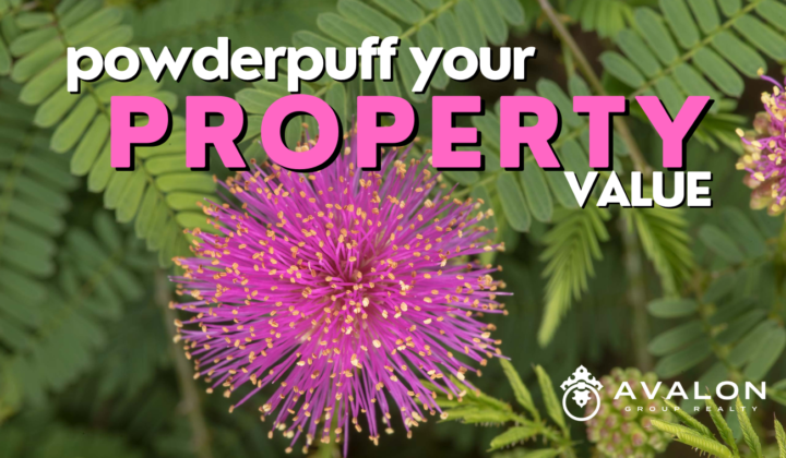 Powderpuff Your Property Value